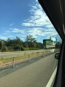 IMG_4585