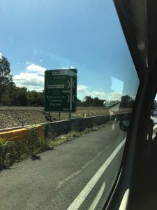 IMG_4608